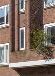 Balkon.
<br/>
Marcel Westhoff, 2020-04-01